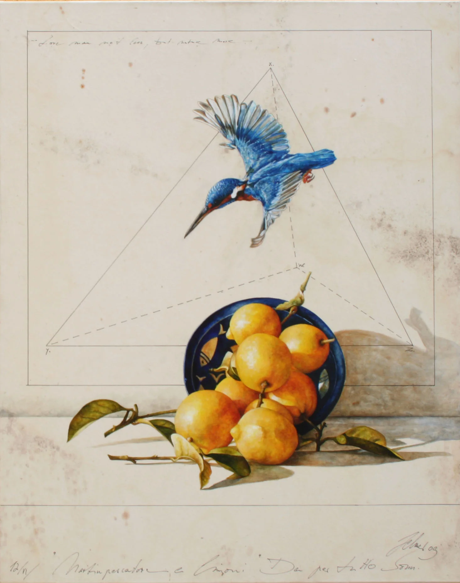 Limone e martinpescatore