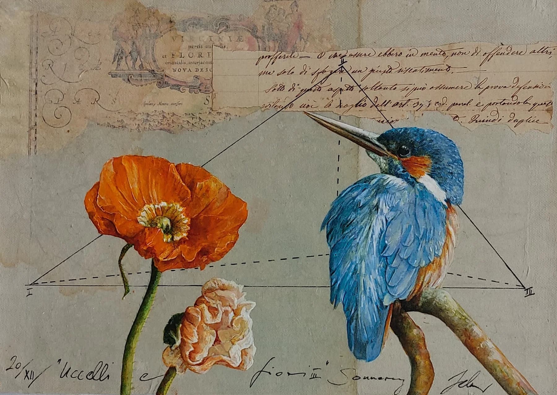 Uccello e 2