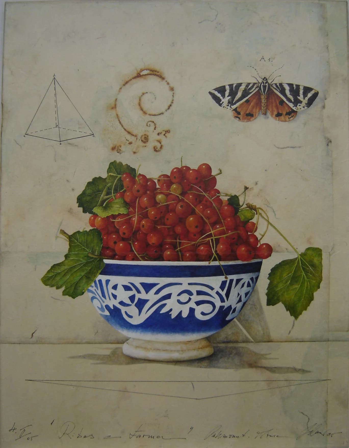 Ribes