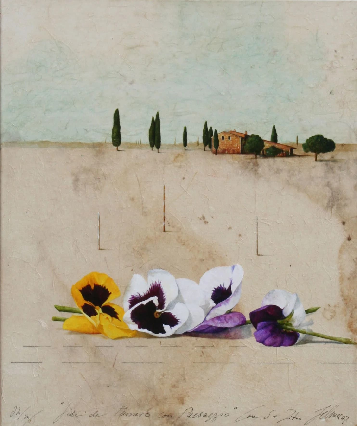 Viole di pensiero