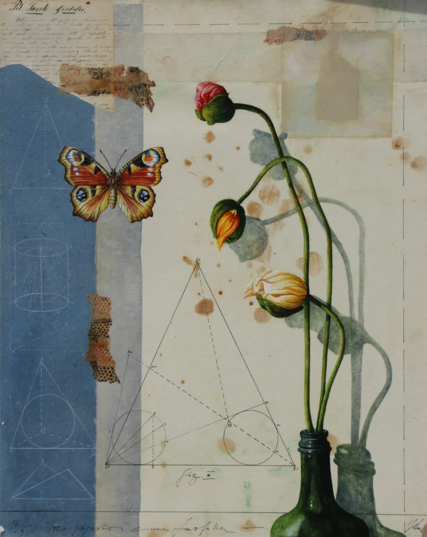 Fiori e