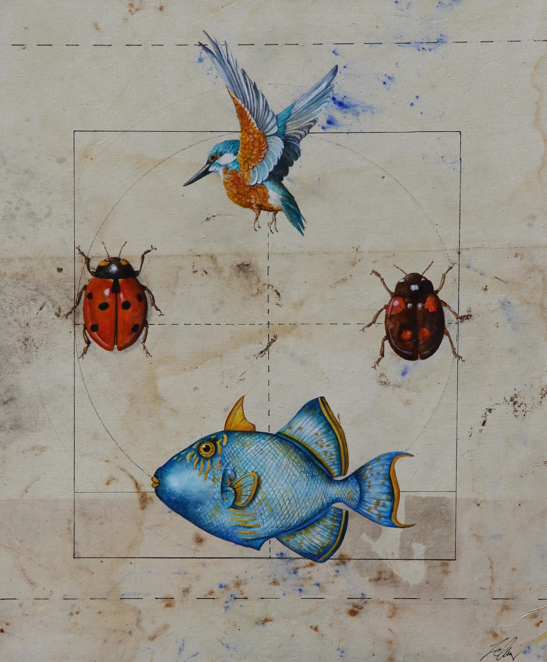Martinpescatore e