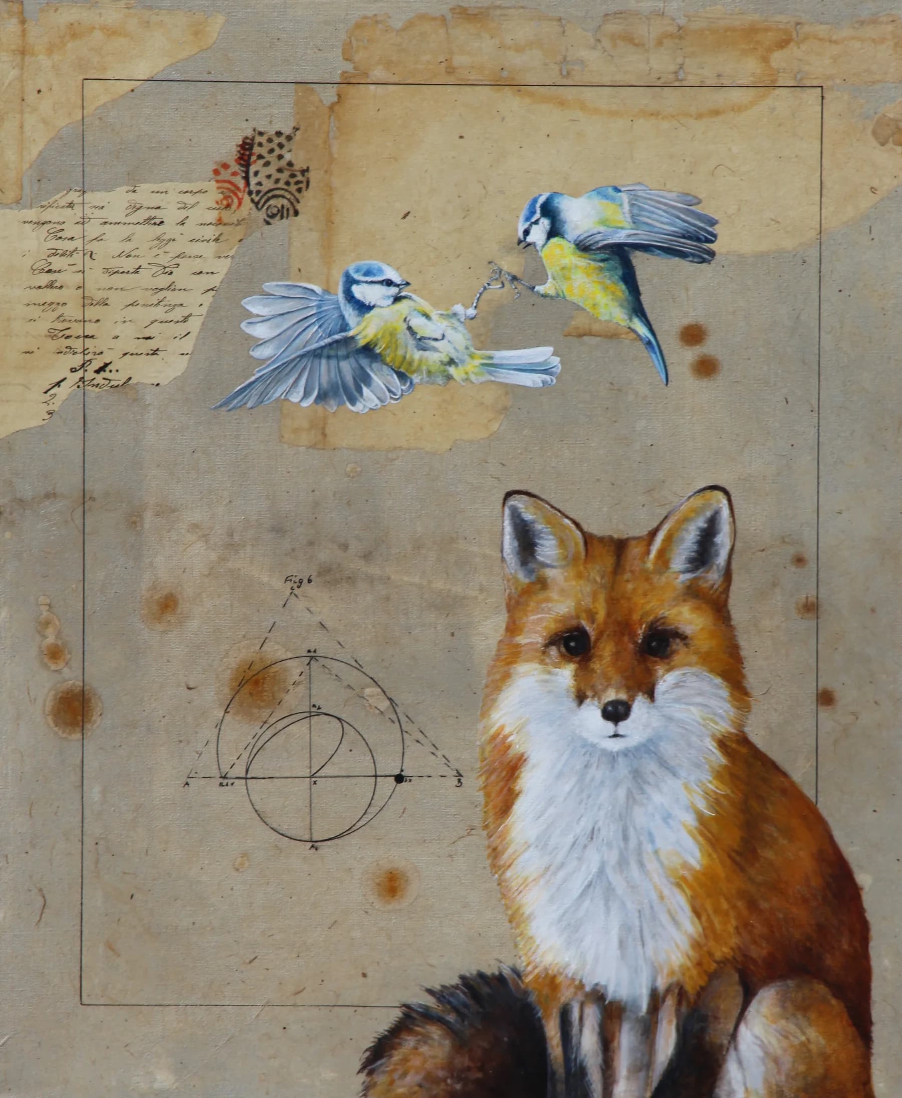 Fox e
