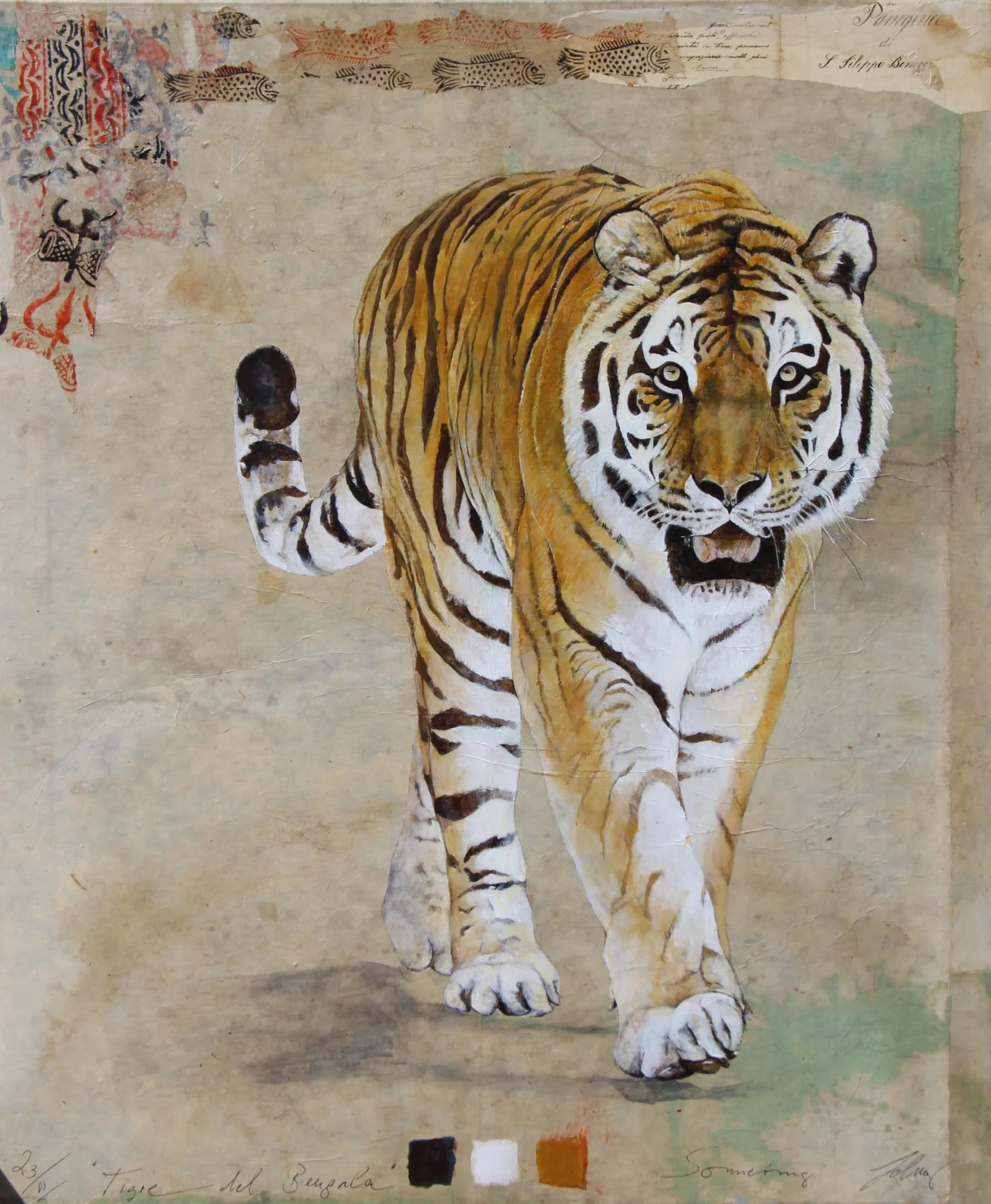 Tigre bengal