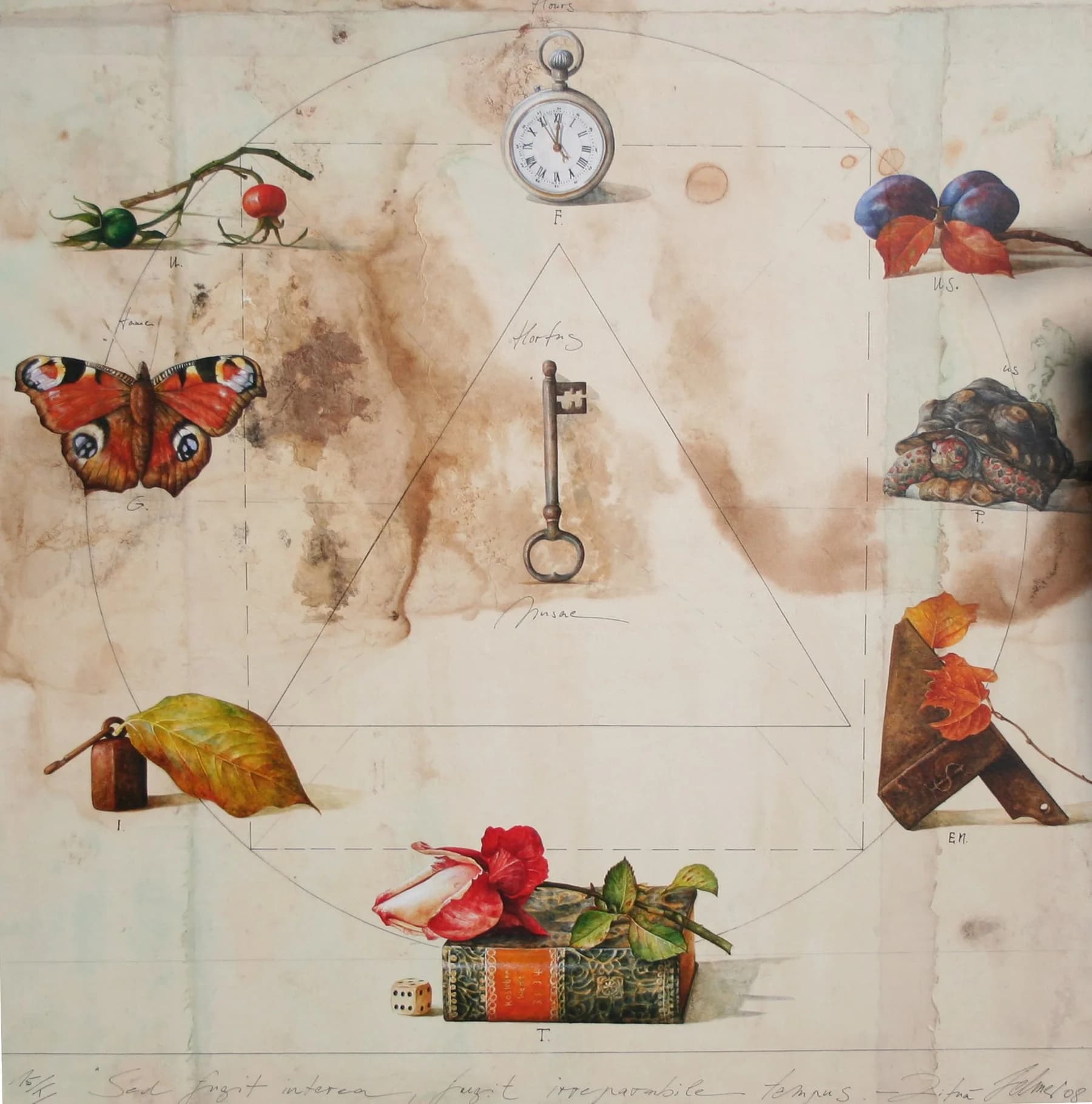 tempus fugit