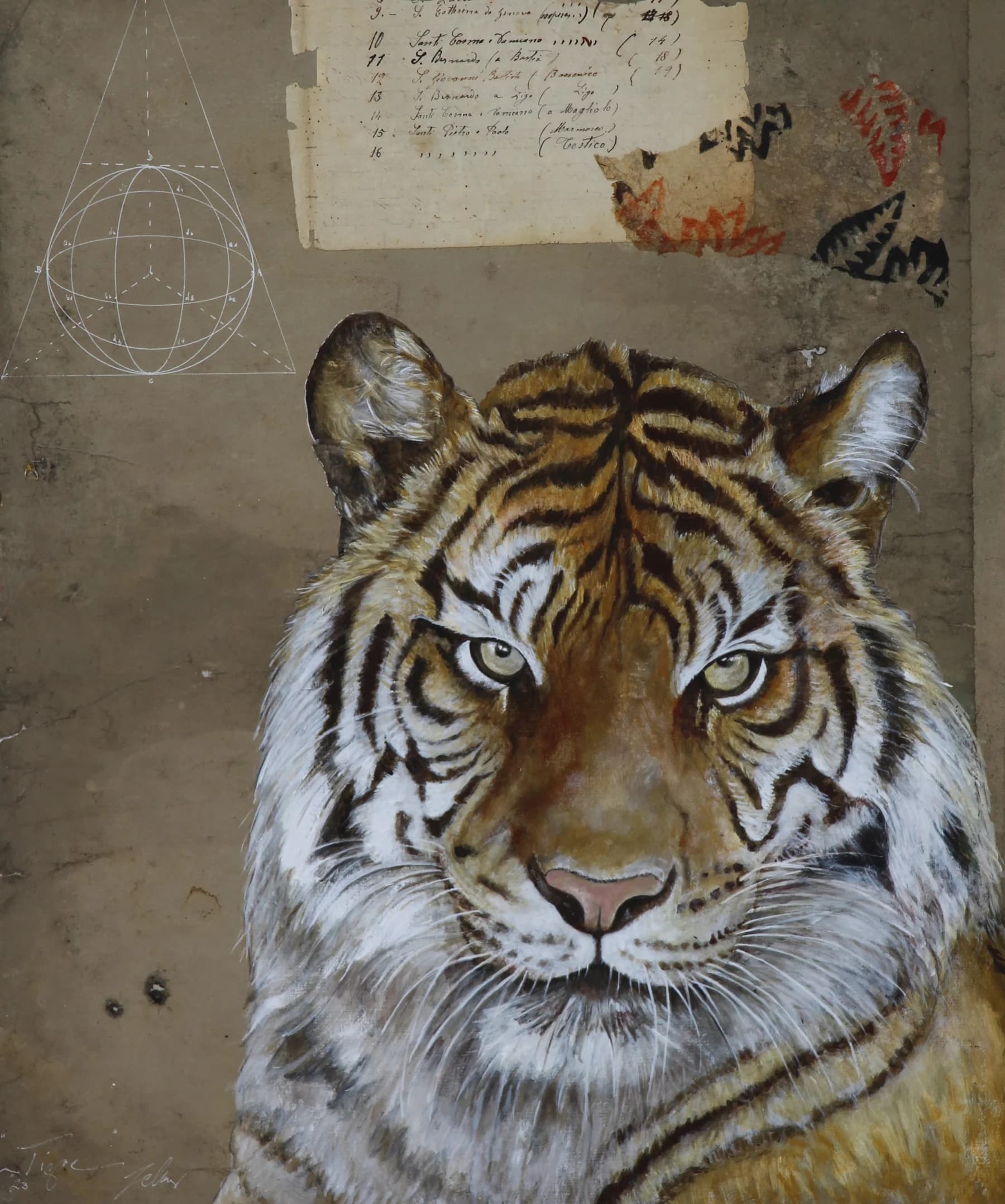 Tigre