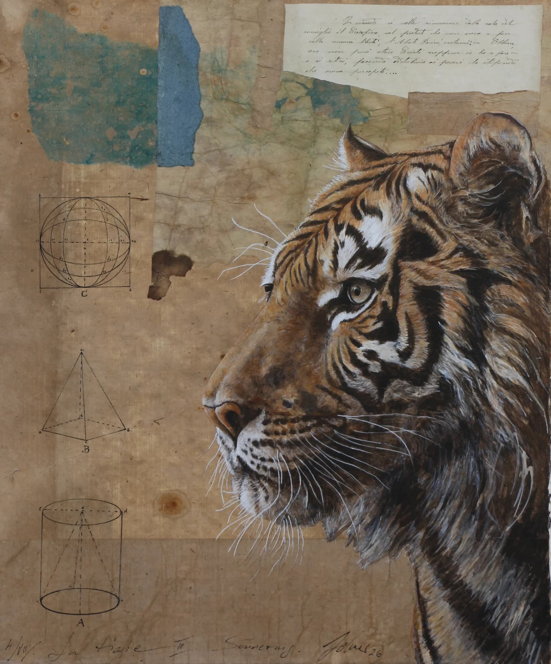 Tigre tre
