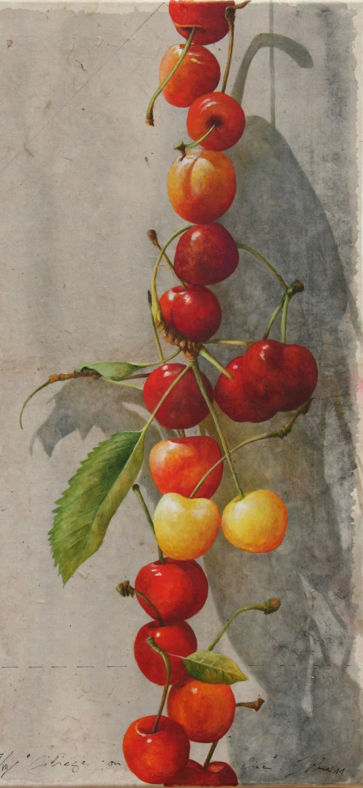Ciliege