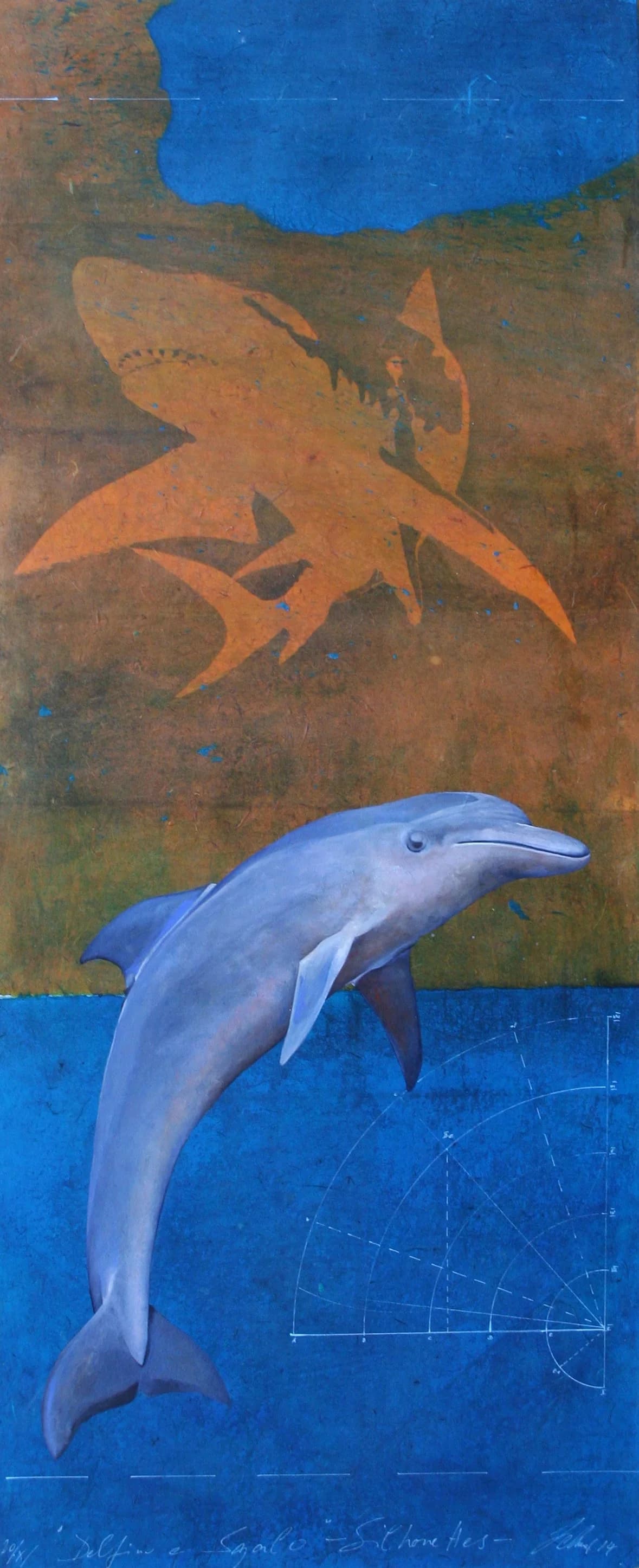 Delfino e