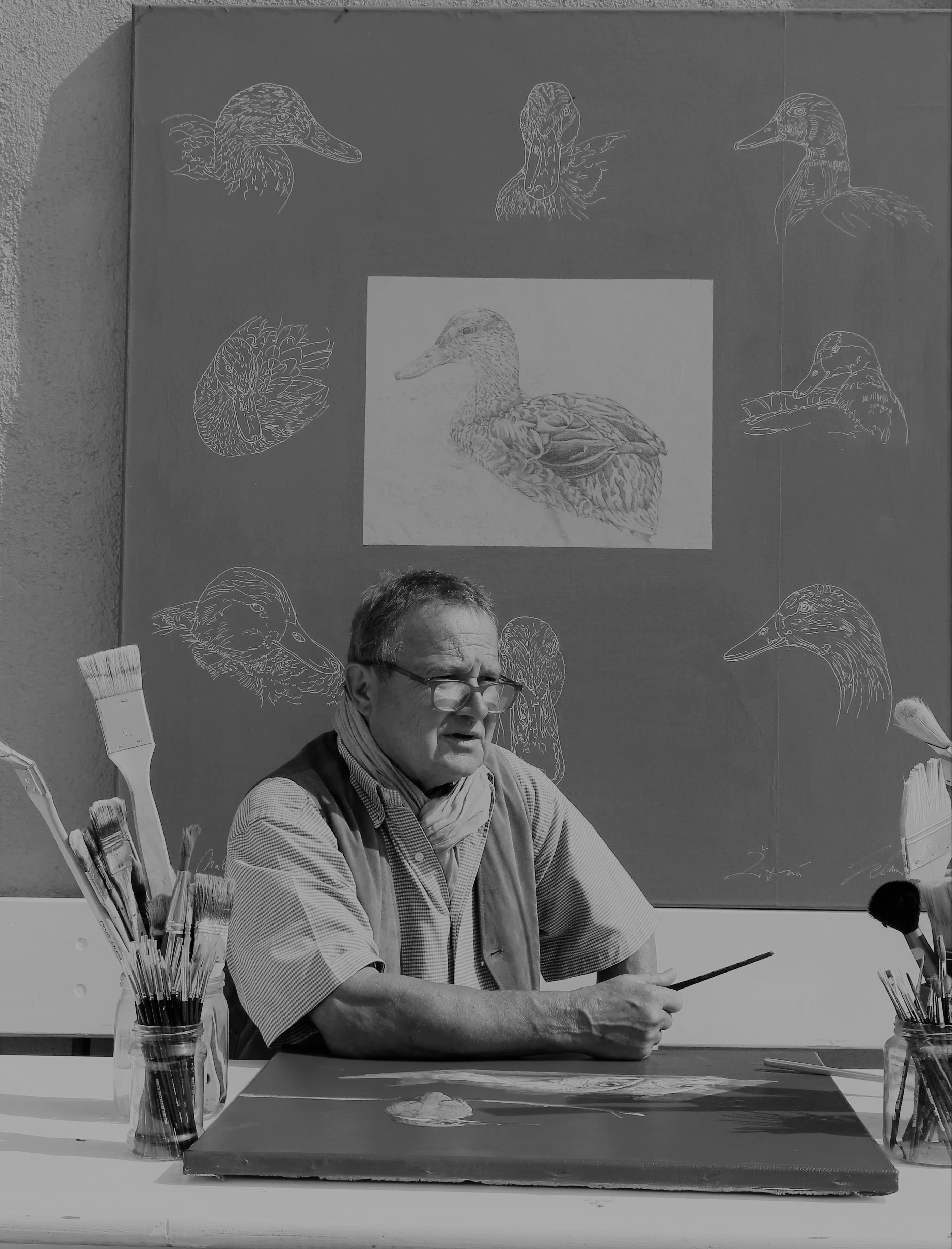 Wolfgang Zelmer